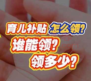 各省市自治区育儿补贴申领地址：政务服务平台！